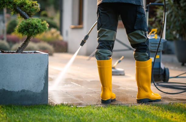 Best Deck Cleaning Services  in Pinetop Country Clu, AZ